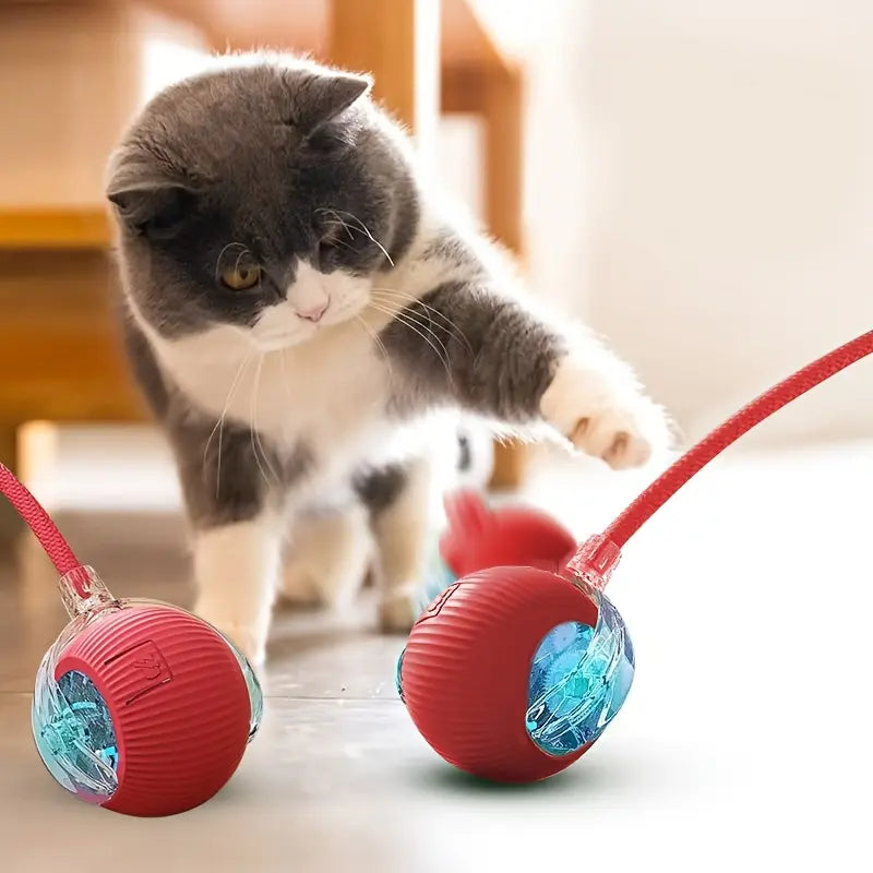 Interactive Dog and Cat Teaser Toy